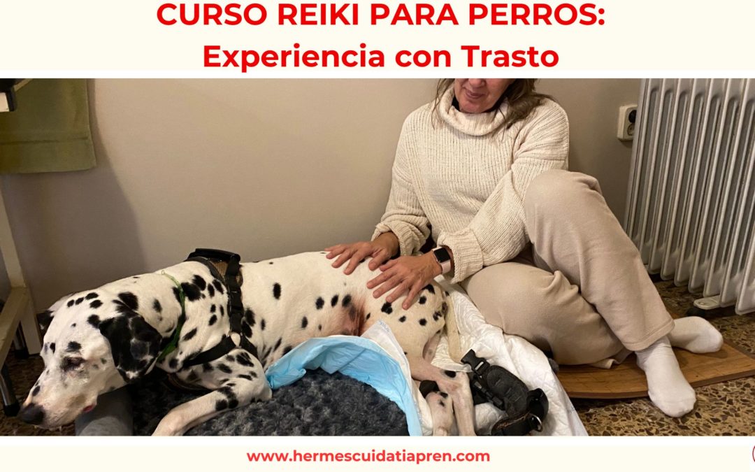 curso reiki para perros